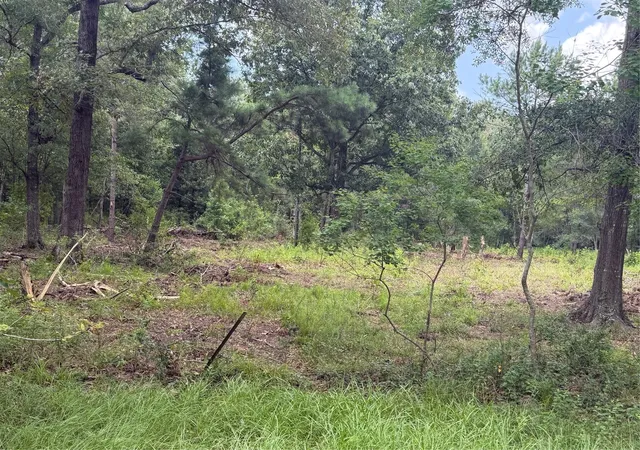 Photo 2 of Land for sale at 278 County Rd 6502 W, Dayton, TX 77535 | MLS# 80352867 | Listing updated on 2026-07-10