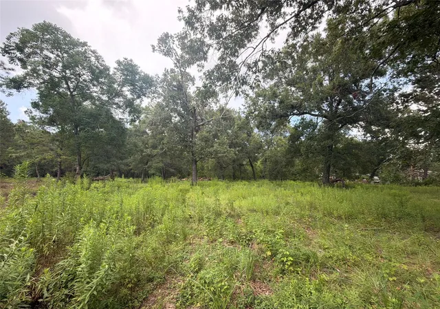 Photo 3 of Land for sale at 278 County Rd 6502 W, Dayton, TX 77535 | MLS# 80352867 | Listing updated on 2026-07-10