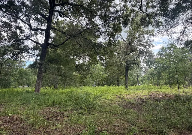 Photo 3 of Land for sale at 278 County Rd 6502 W, Dayton, TX 77535 | MLS# 80352867 | Listing updated on 2026-07-10
