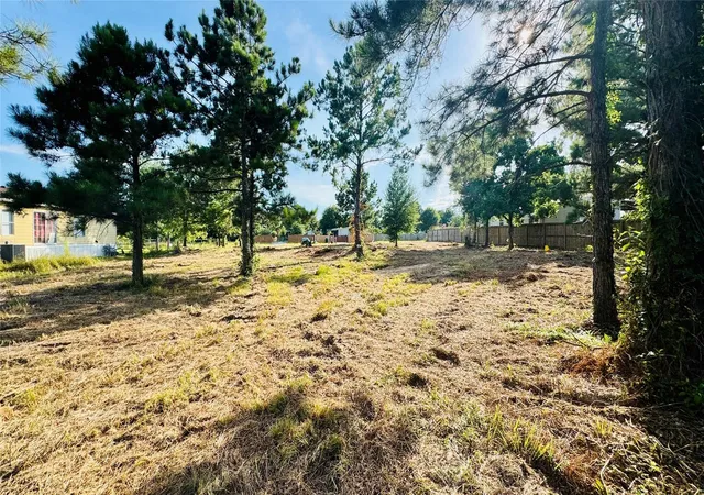 Photo 3 of Land for sale at 82 County Rd 5248, Cleveland, TX 77327 | MLS# 75169648 | Listing updated on 2026-09-22