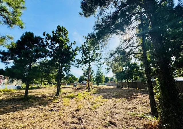 Photo 4 of Land for sale at 82 County Rd 5248, Cleveland, TX 77327 | MLS# 75169648 | Listing updated on 2026-09-22