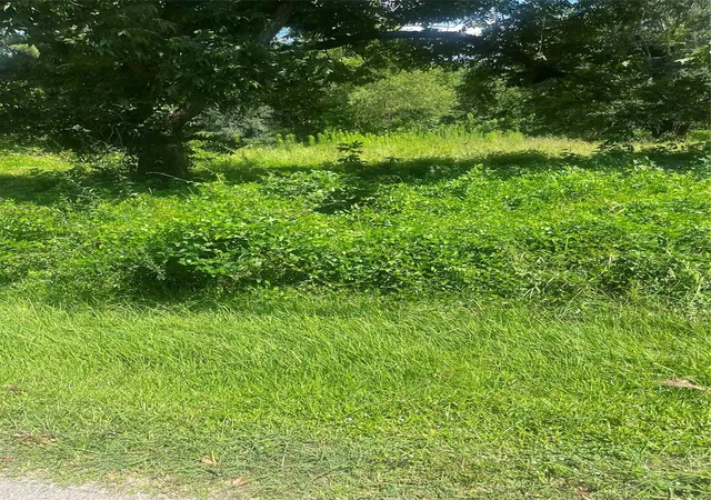 Photo 3 of Land for sale at 1001 Avenue E, Conroe, TX 77301 | MLS# 91856725 | Listing updated on 2026-07-13