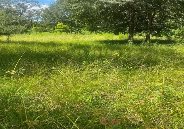 Photo 3 of Land for sale at 1001 Avenue E, Conroe, TX 77301 | MLS# 91856725 | Listing updated on 2026-07-13