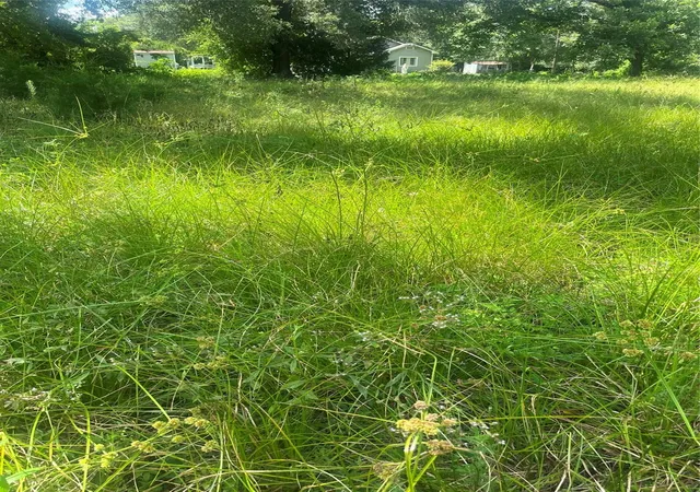 Photo 4 of Land for sale at 1001 Avenue E, Conroe, TX 77301 | MLS# 91856725 | Listing updated on 2026-07-13