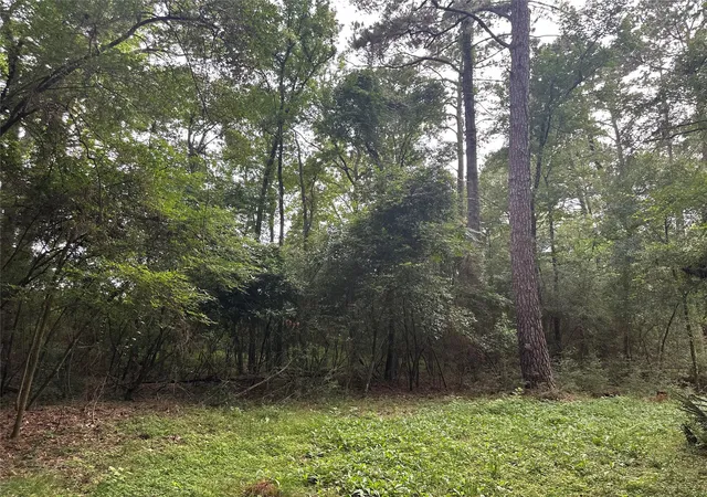 Photo 15 of Land for sale at 000 St Lawrence River Rd, Conroe, TX 77316 | MLS# 86204167 | Listing updated on 2026-08-31