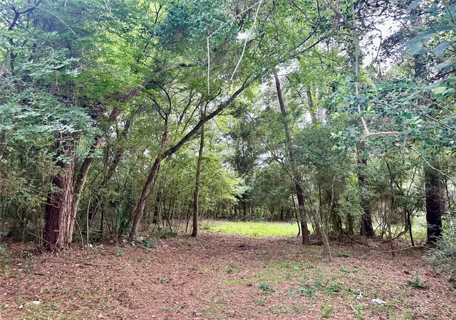 Photo 2 of Land for sale at 000 St Lawrence River Rd, Conroe, TX 77316 | MLS# 86204167 | Listing updated on 2026-08-31