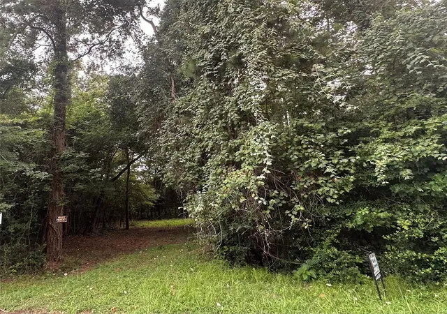 Photo 2 of Land for sale at 000 St Lawrence River Rd, Conroe, TX 77316 | MLS# 86204167 | Listing updated on 2026-08-31