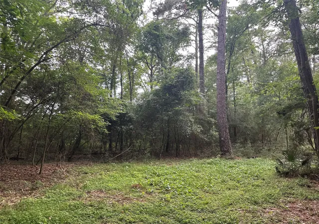 Photo 3 of Land for sale at 000 St Lawrence River Rd, Conroe, TX 77316 | MLS# 86204167 | Listing updated on 2026-08-31