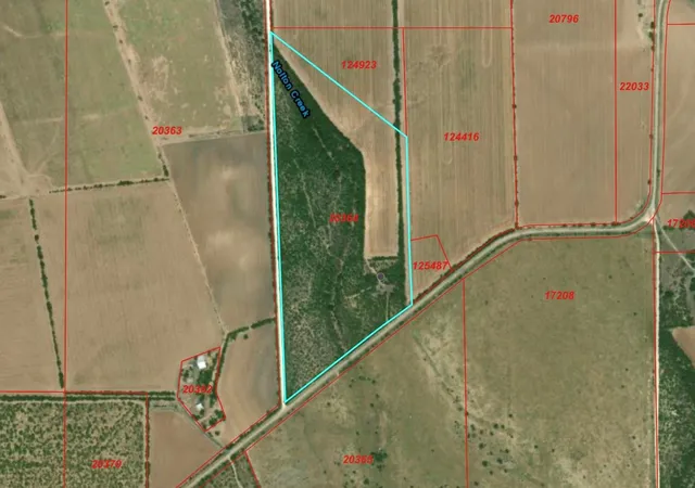 9th image of 7081 County Rd 301, Sabinal, TX 78881 | MLS# 98005416
