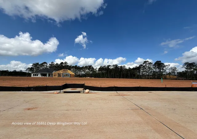 10th image of 16851 Deep Wingbeat Wy, Magnolia, TX 77354 | MLS# 81892462