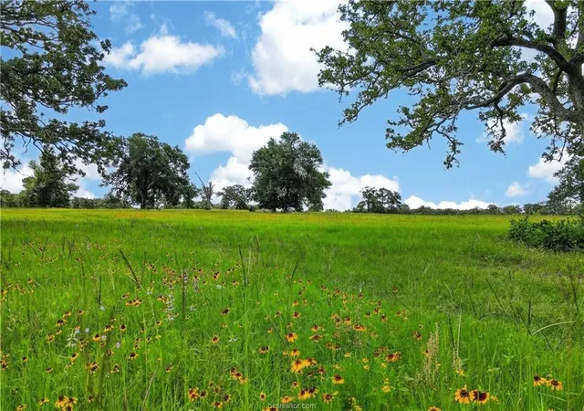 1st image of 11648 Fm 2000, Caldwell, TX 77836 | MLS# 35229671