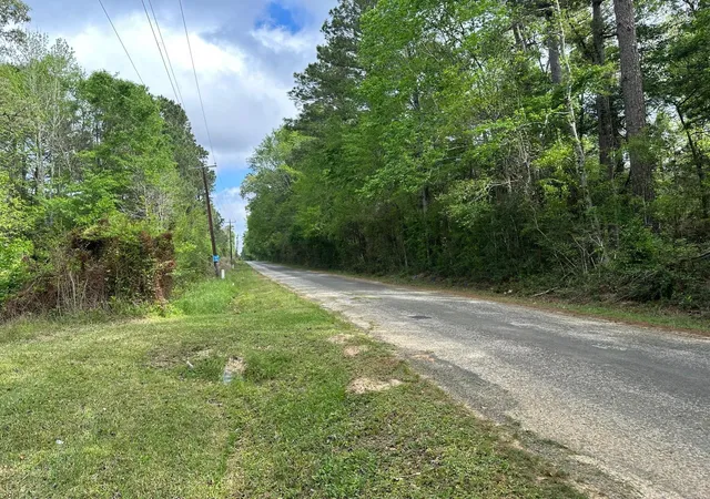 Land for sale at 1325 County Rd 2650, Rye, TX 77369 | MLS# 17612940