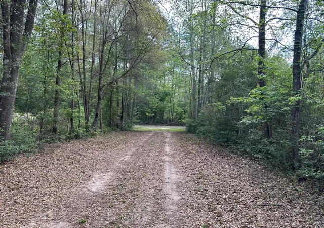 Photo 2 of Land for sale at 1325 County Rd 2650, Rye, TX 77369 | MLS# 17612940 | Listing updated on 2026-06-15