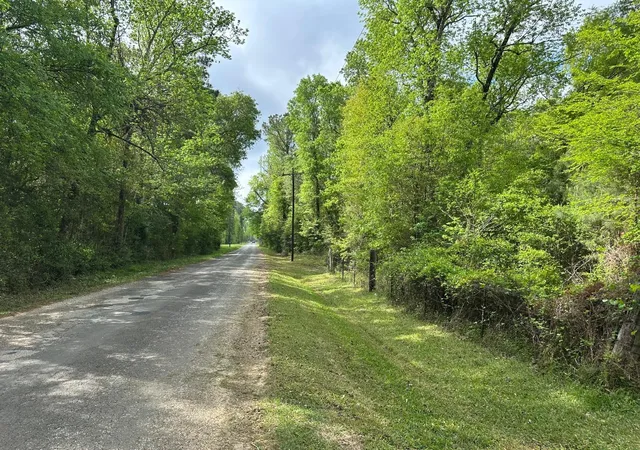 Photo 3 of Land for sale at 1325 County Rd 2650, Rye, TX 77369 | MLS# 17612940 | Listing updated on 2026-06-15
