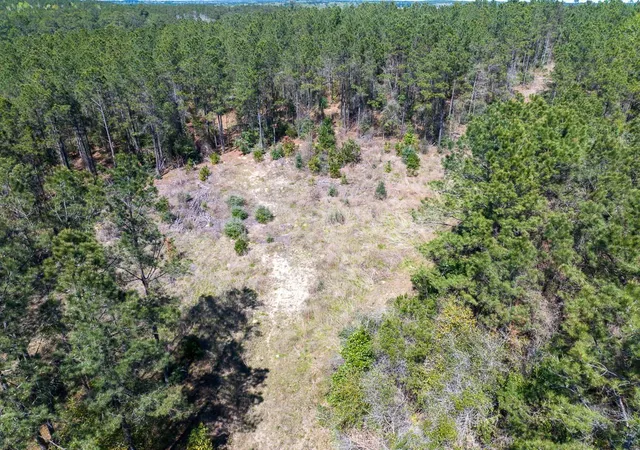 3rd image of 526 Mount Pisgah Road, Woodville, TX 75979 | MLS# 65877080