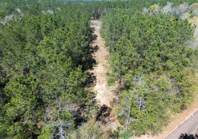 4th image of 526 Mount Pisgah Road, Woodville, TX 75979 | MLS# 65877080