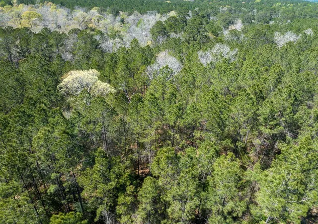 5th image of 526 Mount Pisgah Road, Woodville, TX 75979 | MLS# 65877080