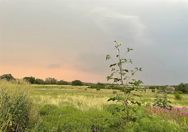 Photo 1 of Land for sale at 428 County Rd 326a, Bertram, TX 78605 | MLS# 20863903 | Listing updated on 2026-10-11