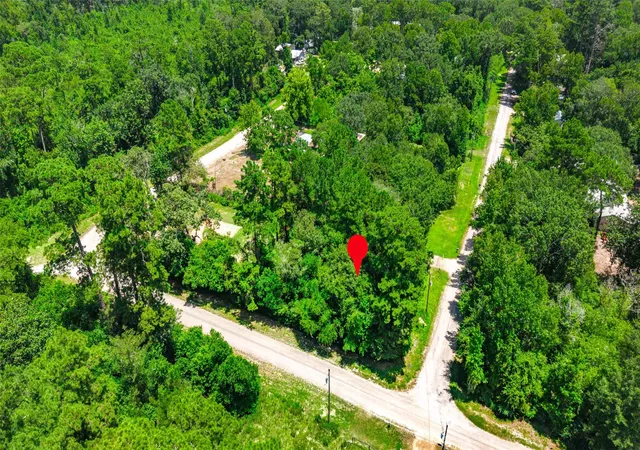 Land for sale at 0 Elaine Ave, Shepherd, TX 77371 | MLS# 13440109