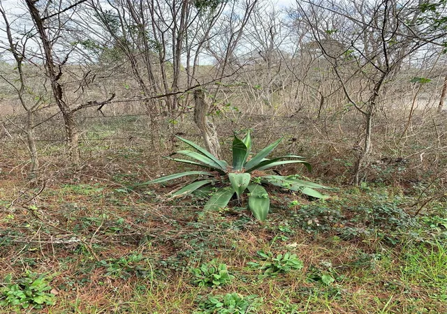 Photo 1 of Land for sale at 373 Johnson Rd, Huntsville, TX 77320 | MLS# 51615170 | Listing updated on 2026-07-28