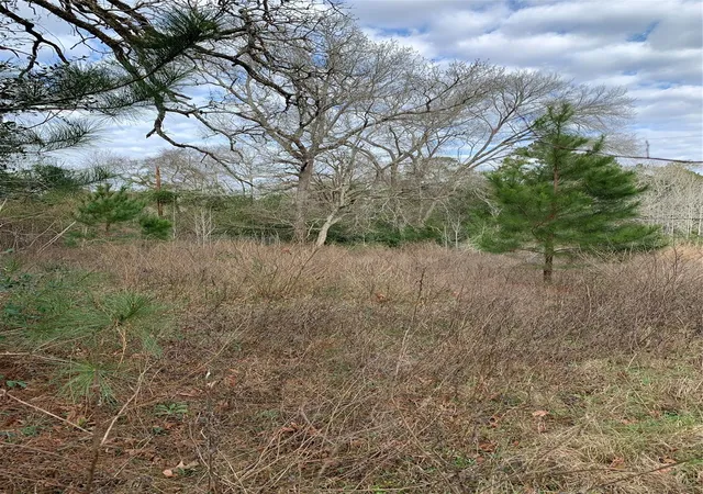Photo 2 of Land for sale at 373 Johnson Rd, Huntsville, TX 77320 | MLS# 51615170 | Listing updated on 2026-07-28