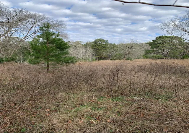 Photo 2 of Land for sale at 373 Johnson Rd, Huntsville, TX 77320 | MLS# 51615170 | Listing updated on 2026-07-28