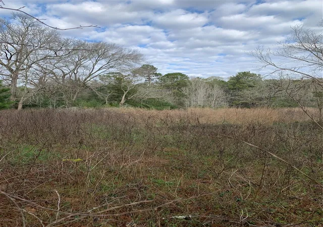 Photo 3 of Land for sale at 373 Johnson Rd, Huntsville, TX 77320 | MLS# 51615170 | Listing updated on 2026-07-28