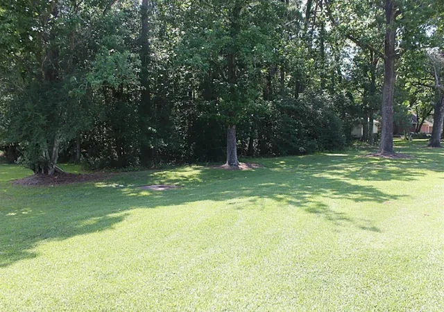 3rd image of 64 River Plantation Dr, Conroe, TX 77302 | MLS# 34354257