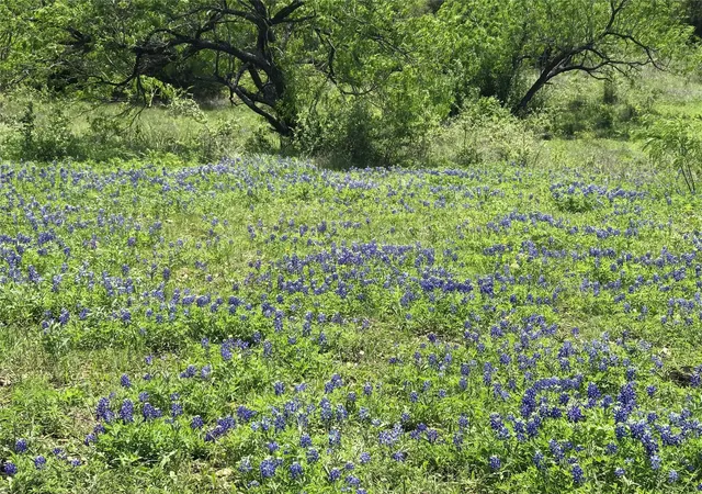Photo 3 of Land for sale at 15501 Goforth Rd, Kyle, TX 78640 | MLS# 93479960 | Listing updated on 2026-08-23