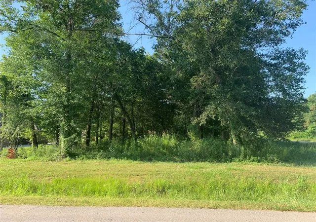 Photo 2 of Land for sale at 4073 Road 66124, Dayton, TX 77535 | MLS# 71889149 | Listing updated on 2026-01-17