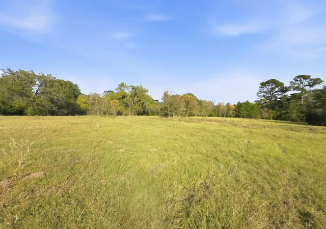 Homes for sale in Plantersville, TX | Tbd County Rd 204, Plantersville, TX 77363 | MLS# 63554629