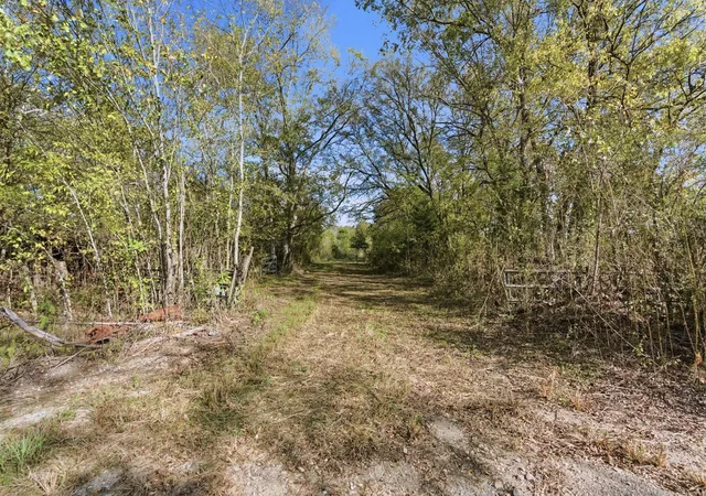 Homes for sale in Plantersville, TX | Tbd County Rd 204, Plantersville, TX 77363 | MLS# 63554629