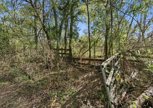 Photo 2 of Land for sale at Tbd County Rd 204, Plantersville, TX 77363 | MLS# 63554629 | Listing updated on 2026-07-01