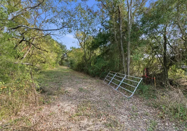 Photo 3 of Land for sale at Tbd County Rd 204, Plantersville, TX 77363 | MLS# 63554629 | Listing updated on 2026-07-01