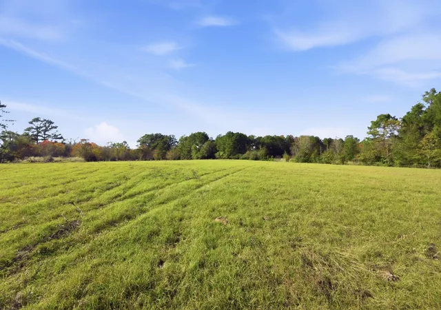 Photo 4 of Land for sale at Tbd County Rd 204, Plantersville, TX 77363 | MLS# 63554629 | Listing updated on 2026-07-01