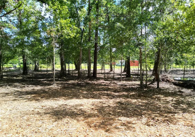 Homes for sale in Plantersville, TX | 000 Red Oak Dr, Plantersville, TX 77363 | MLS# 26394289