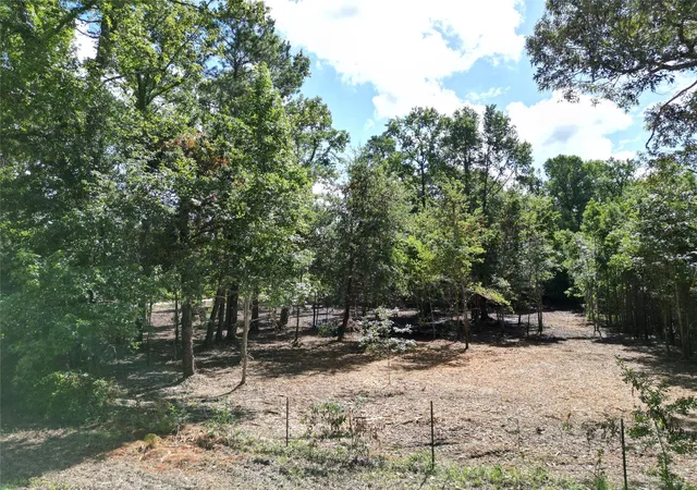 Homes for sale in Plantersville, TX | 000 Red Oak Dr, Plantersville, TX 77363 | MLS# 26394289