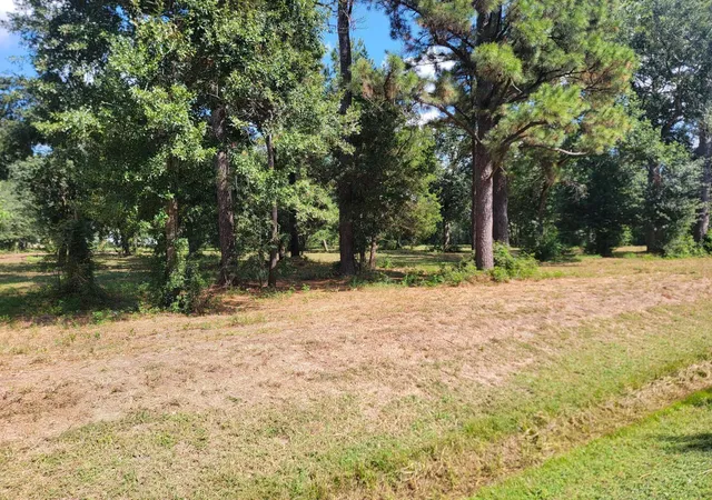 Photo 4 of Land for sale at 0 11th Street, Katy, TX 77493 | MLS# 45785558 | Listing updated on 2026-06-16