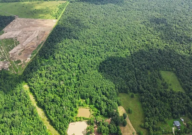 Photo 3 of Land for sale at 1201 County Rd 158, Liberty, TX 77575 | MLS# 20664983 | Listing updated on 2026-09-05