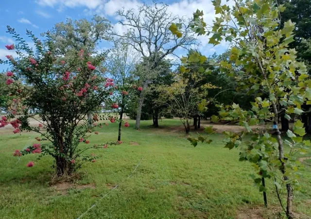 41st image of 0000 Blacksmith Farm Ln, Weimar, TX 78962 | MLS# 49761129