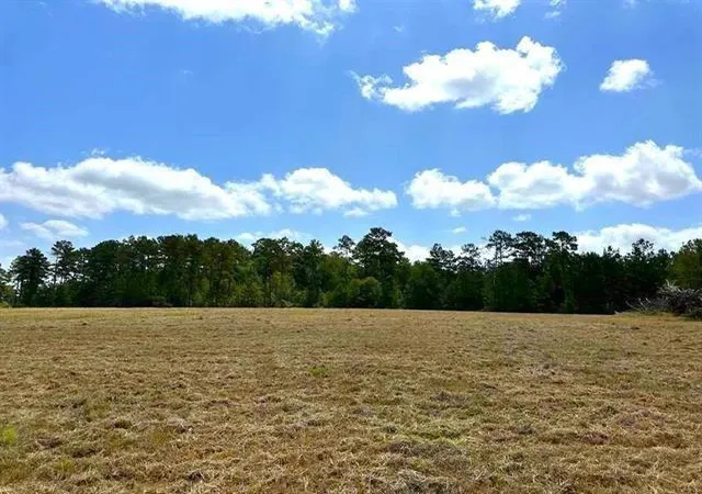Homes for sale in Hillister, TX | Lot 84 Lakeland Loop, Hillister, TX 77624 | MLS# 23376971
