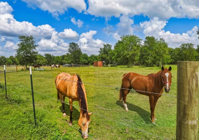 2nd image of 2325 Skrivanek Rd, San Felipe, TX 77474 | MLS# 72599277