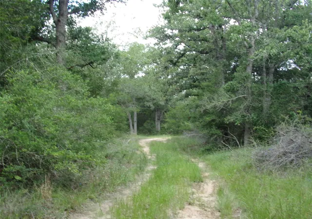 1st image of 1588 Deer Hollow Rd, Weimar, TX 78962 | MLS# 97597742