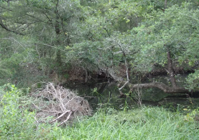 23rd image of 1588 Deer Hollow Rd, Weimar, TX 78962 | MLS# 97597742