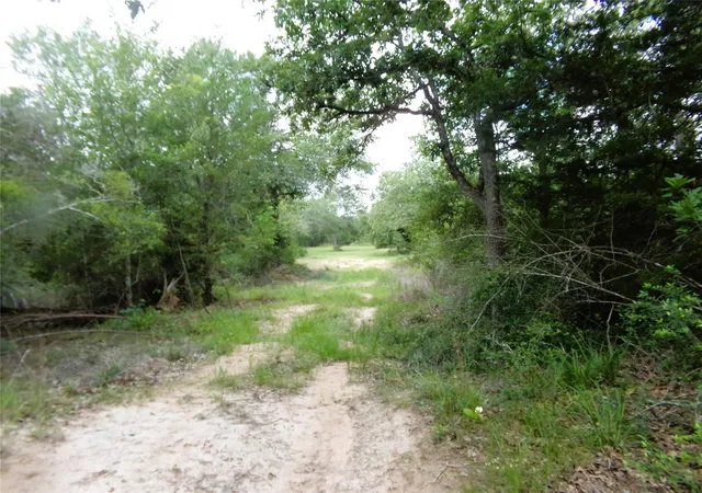 3rd image of 1588 Deer Hollow Rd, Weimar, TX 78962 | MLS# 97597742