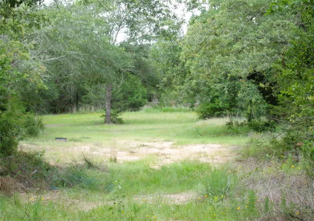 4th image of 1588 Deer Hollow Rd, Weimar, TX 78962 | MLS# 97597742