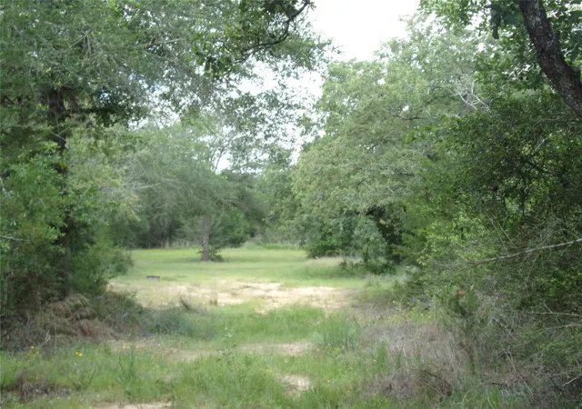 5th image of 1588 Deer Hollow Rd, Weimar, TX 78962 | MLS# 97597742