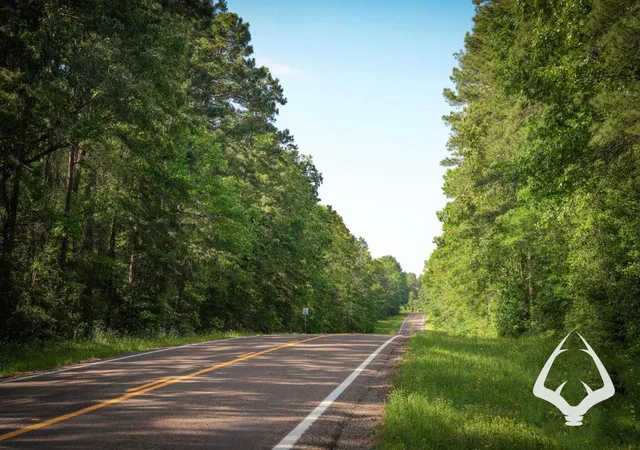 Photo 3 of Land for sale at 00 Fm 357, Kennard, TX 75847 | MLS# 46726173 | Listing updated on 2026-08-29