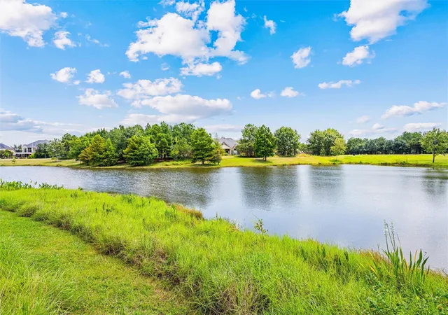 4th image of 103 Lake View Loop, Fulshear, TX 77441 | MLS# 25781897