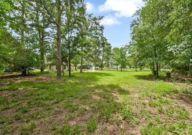 Photo 4 of Single family home for sale at 19757 Dorris Dr, Magnolia, TX 77355 | MLS# 84568666 | Listing updated on 2026-09-17
